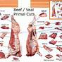 Primary Cuts Of Veal