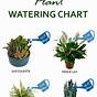 Watering Chart For Weed Plants