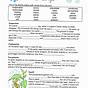 The Water Cycle Worksheet Answers Pdf