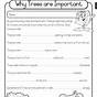 Free Science Worksheets For 3rd Grade