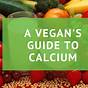 Vegan Forms Of Calcium