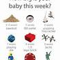 Gestational Sac Size Chart By Week