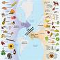Overview Of The Columbian Exchange