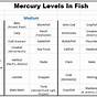 Fish Mercury Levels Chart