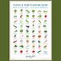 Sun Loving Vegetable And Herbs Plant Chart