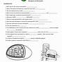 How Do Chloroplasts Capture Energy From The Sun Worksheet