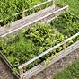 Spacing Of Vegetables In A Raised Garden