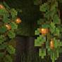 How To Grow Glow Berries Minecraft