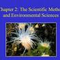 Environmental Science Scientific Method Worksheet