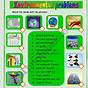 Environment Worksheet For Grade 4