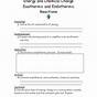 Endothermic Reactions Vs Exothermic Reactions Worksheet