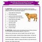 Demonstrative Pronouns Worksheets For Grade 2