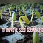 Vegetable Seed Germination Times