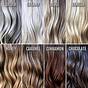 Hair Number Color Chart