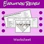 Evolution Vocabulary Worksheet