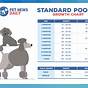 Toy Poodle Size Chart