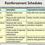 Schedules Of Reinforcement Worksheets