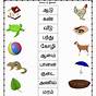 Ukg Tamil Worksheets