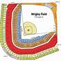 Wrigley Field Seating Chart With Rows And Seat Numbers