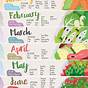 Fruit And Vegetables Seasonal Chart
