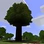 Big Tree Minecraft Schematic