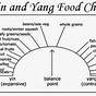 Yin Yang Food Chart Pdf