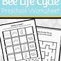 Life Cycle Of A Bee Worksheet