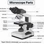 Easy Microscope Diagram