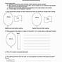 Static Electricity Activity Worksheets