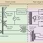 Main X Ray Circuit Diagram Labeled