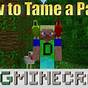 Tame A Parrot Minecraft