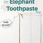 Elephant Toothpaste Science Project Question