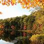 Wisconsin Fall Color Chart