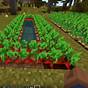 Beetroot Farm Minecraft