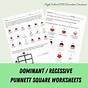 Dominant Recessive Punnett Square Worksheet
