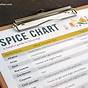 Ice Spice Chart History