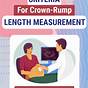 Crown-rump Length Chart In Cm