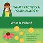 Allergic To 10 Types Of Pollen