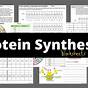 Protein Synthesis Reading Worksheet