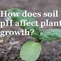 Ideal Soil Ph For Vegetables