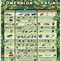Fruit Companion Planting Chart