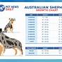 Toy Aussie Growth Chart