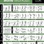 Resistance Band Exercise Chart
