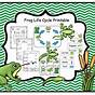 Free Life Cycle Of A Frog Printable