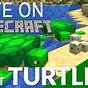 What Does A Turtle In Minecraft Drop