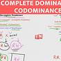 Codominance And Incomplete Dominance Examples
