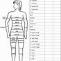 Women's Body Measurements Chart