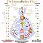 What Is Human Design Chart