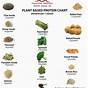 Fruit And Vegetable Protein Chart