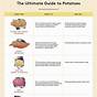 Types Of Potatoes Chart